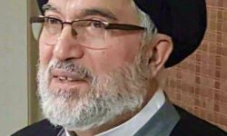 العلامة السيد فاضل الميلاني في ذمة الله